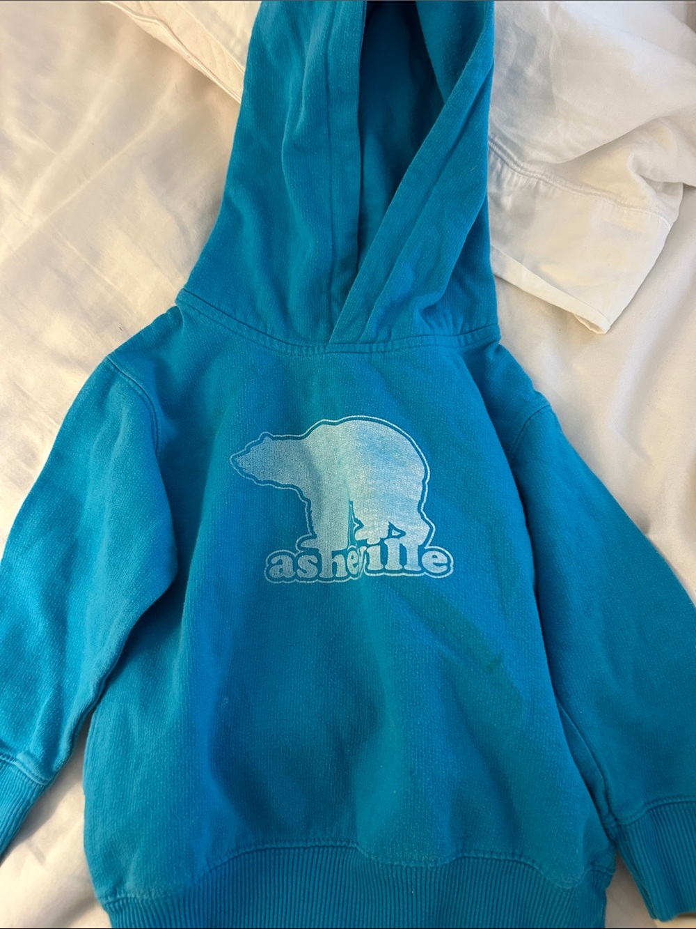 Rabbit Skins Teal Asheville Kids Hoodie with Bear Graphic and Pockets